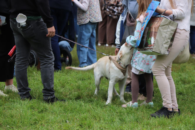 XIII Piknik Przyjaciół Schroniska w Toruniu. Fotorelacja z imprezy