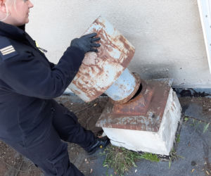 Kot utknął w kominie wentylacyjnym. Z pomocą przybyli grudziądzcy strażnicy miejscy i pracownik schroniska