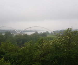 Toruń miastem zieleni?