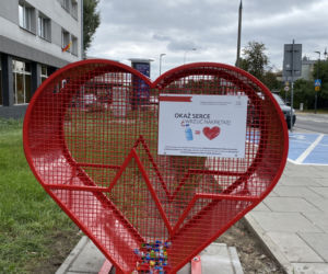 Pojemnik w kształcie serca