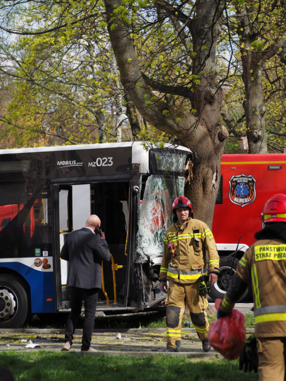 Autobus miejski wbił się w drzewo! Kilkanaście osób rannych