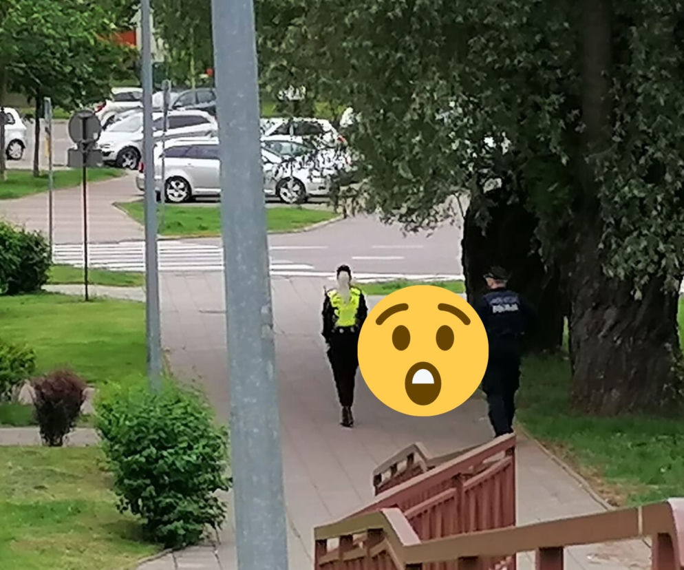 Tak wygląda pies policyjny z Podlasia. Nietypowy widok w Białymstoku