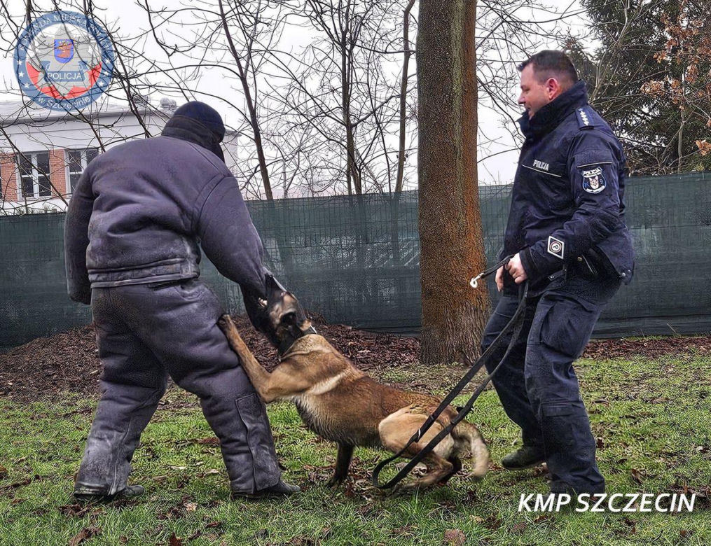 Nowe psy w zachodniopomorskiej policji