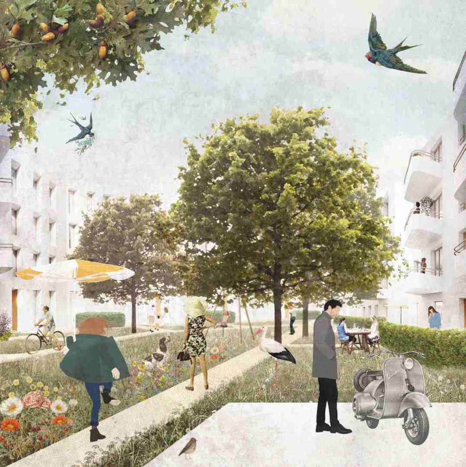 Mieszkanie Plus Wrocław: osiedle na wrocławskim Zakrzowie. Wyniki konkursu