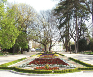 Dobrich