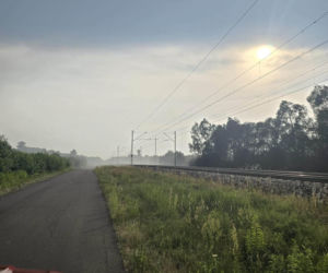 Pożar traw w powiecie mińskim spowodował wstrzymanie ruchu pociągów