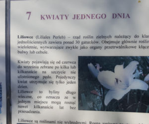ESC w Ogrodzie Botanicznym UKW