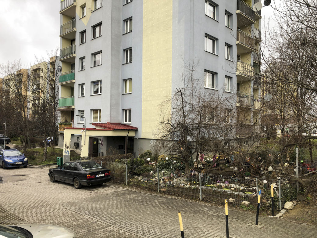Lalki i misie wiszące na drzewie przy Budziszyńskiej 