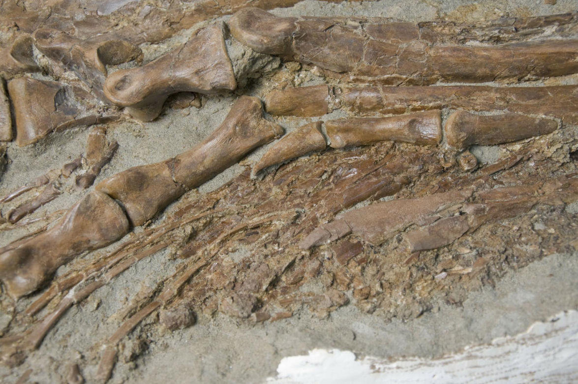Drumheller, Kanada
