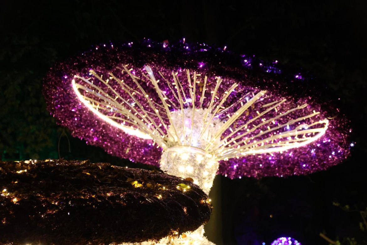 Lumina Park 2023 w Lublinie