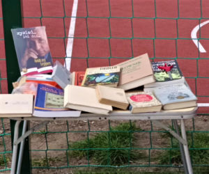 Pchli targ na Pogodnie