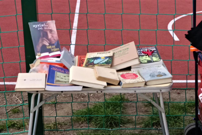 Pchli targ na Pogodnie