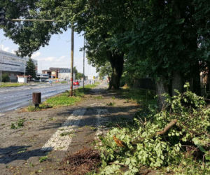 Skutki burzy w Zamościu