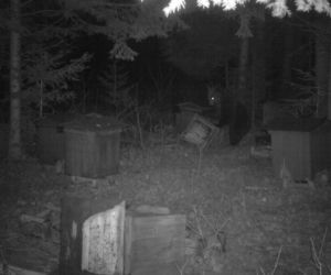 Bieszczady nocą
