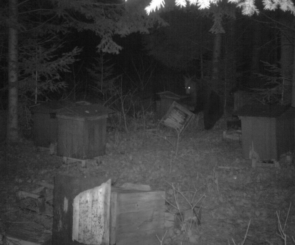 Bieszczady nocą