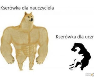 kwejk