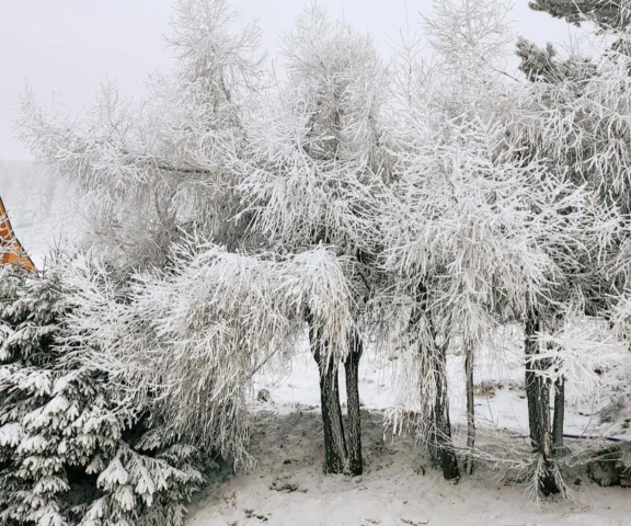 Mróz -20°C uderzy w Polskę! IMGW ostrzega, gdzie będzie najgorzej