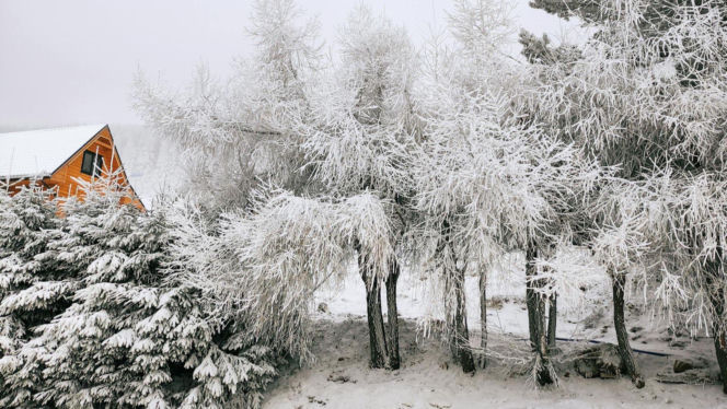 Tej nocy ściśnie syberyjski mróz. Synoptycy IMGW mówią o minus 25 stopniach!