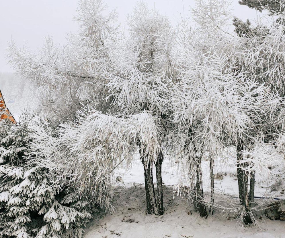 Mróz -20°C uderzy w Polskę! IMGW ostrzega, gdzie będzie najgorzej