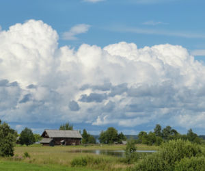 Muzeum Wsi Lubelskiej
