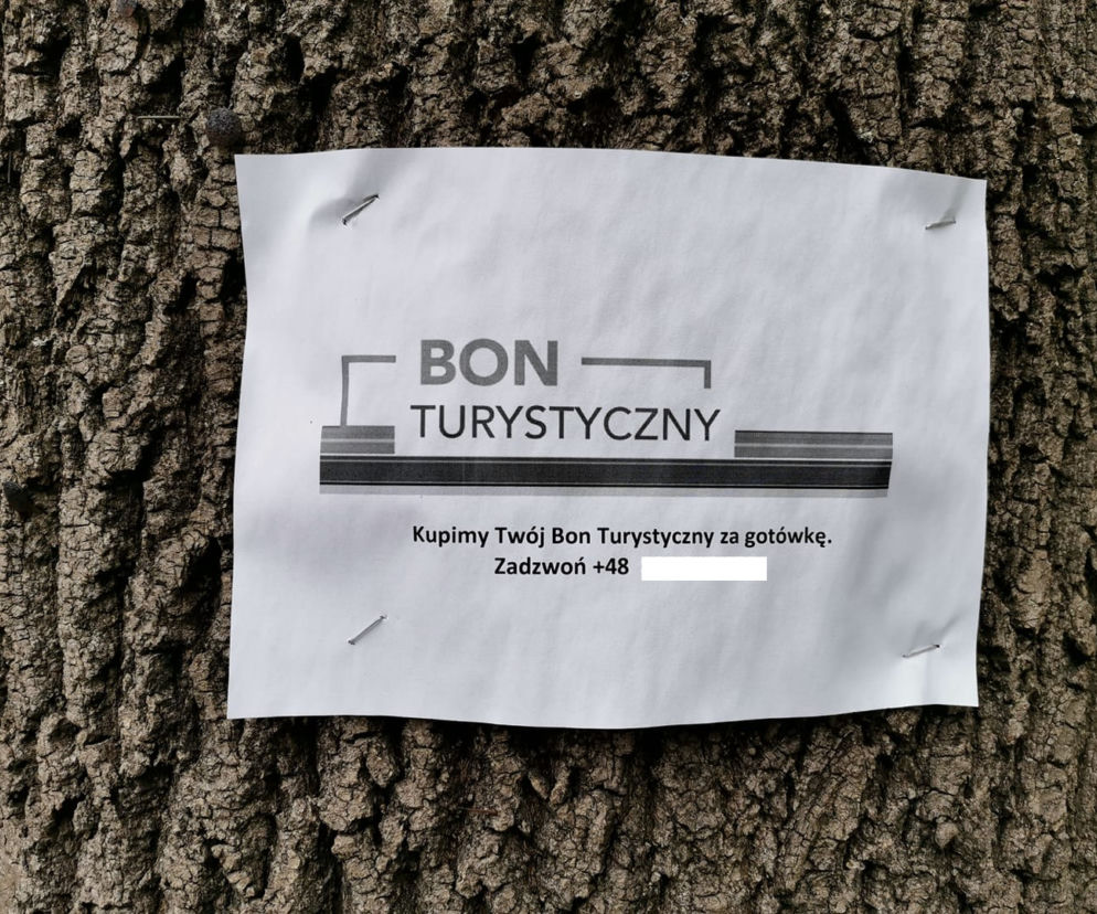 Bon bon
