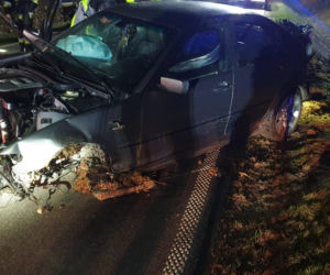 Koszmarny wypadek w Puszczy Miejskiej koło Rypina. Kierowca BMW zginął na miejscu