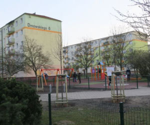Integracyjny ogród społecznościowy na Błoniu gotowy