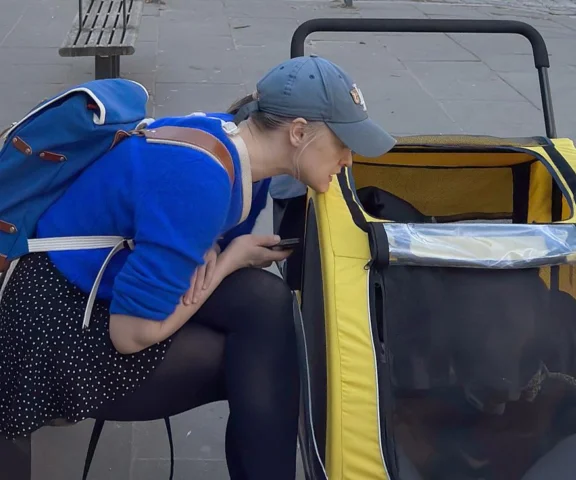 Damięcka wozi psa w wózku. Prawda łamie serce