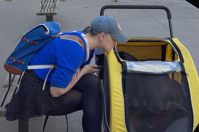 Damięcka wozi psa w wózku.  Za tym widokiem kryje się prawda, która łamie serce