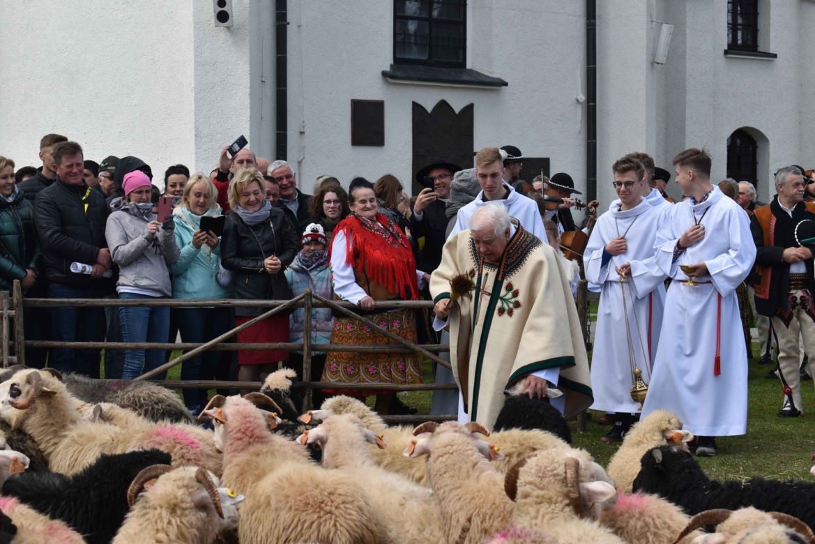 Poświęcenie owiec w czasie święta bacowskiego w Ludźmierzu