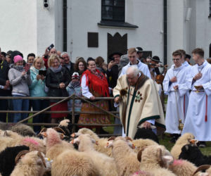 Poświęcenie owiec w czasie święta bacowskiego w Ludźmierzu