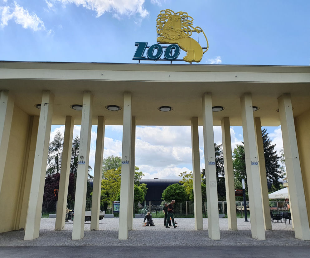 Wrocławskie Zoo znowu otwarte! Nie wszystkie pawilony będą jednak otwarte. Sprawdź, które będzie można odwiedzić 