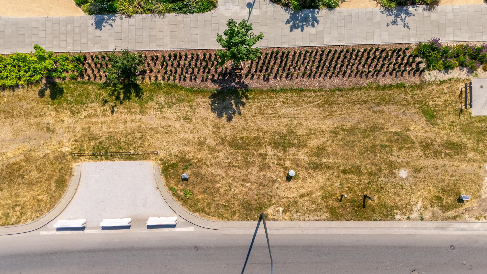 Park nad Południową Obwodnicą Warszawy w Warszawie