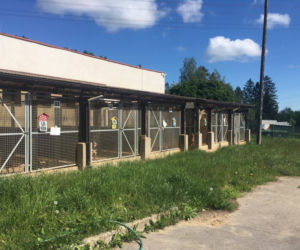Schronisko dla Zwierząt w Olsztynie