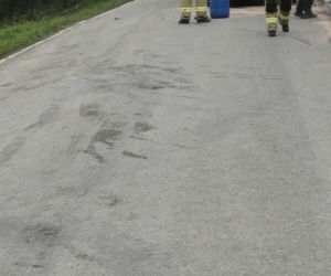 Mokra Wieś. Krowa sprawczynią stłuczki! Właścicielka zwierzęcia ukarana mandatem