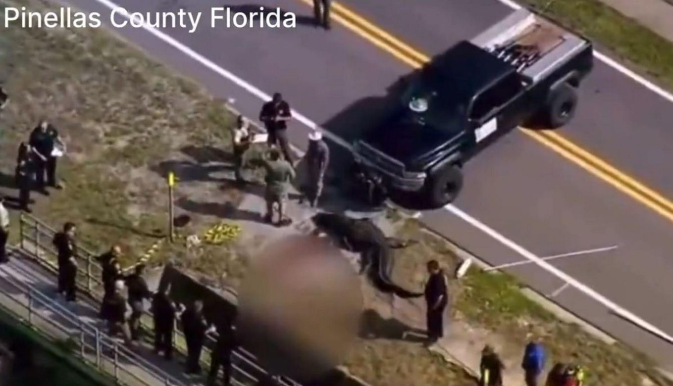 Aligator