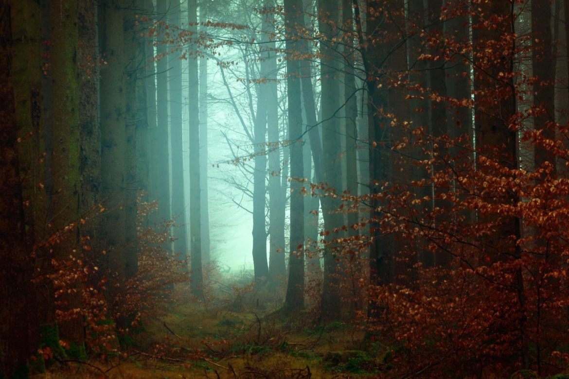 Horoskop tygodniowy 29 września- 5 października: Strzelec