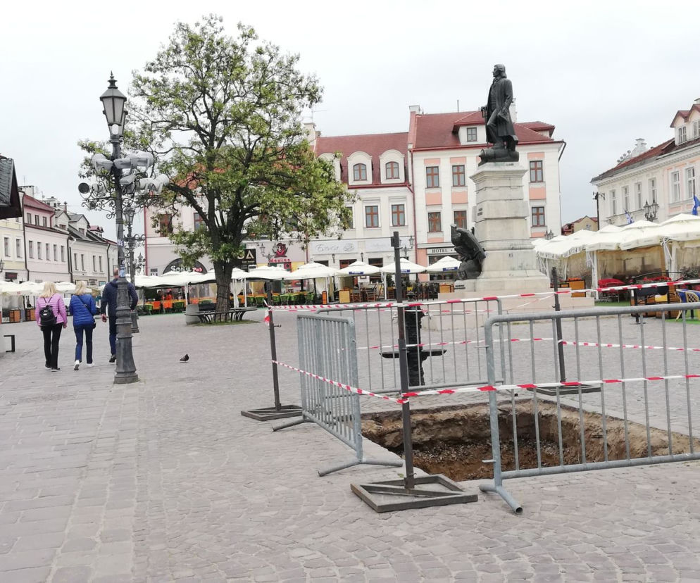 Miejsce już jest. Na rzeszowskim Rynku posadzone będzie nowe drzewo