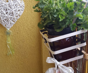 balkon 2015 zdjecie nr 7