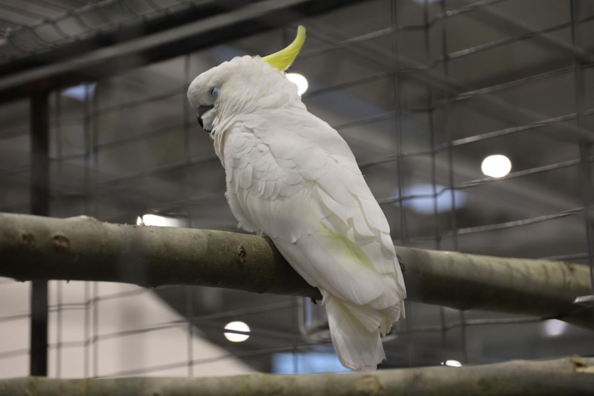 Zoopark 2023 w Lublinie