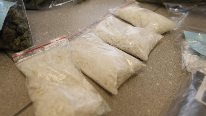 Kilogramy narkotyków i specjalistyczna uprawa