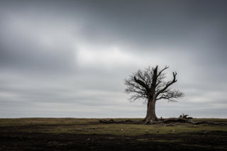 Polskie wojska w Ukrainie. Tusk po paryskim szczycie, co dalej z deklaracjami?