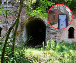 Świętowanie i ukłon w stronę historii Torunia. Wszystkie atrakcje darmowe! 