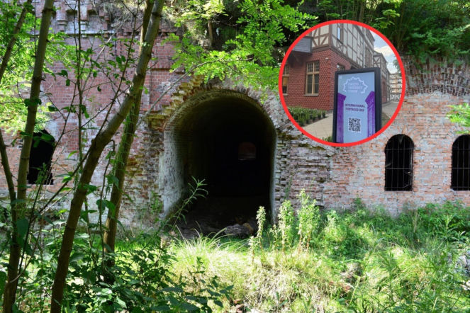 Świętowanie i ukłon w stronę historii Torunia. Wszystkie atrakcje darmowe! 