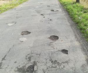 Wsadzają kwiaty do dziur