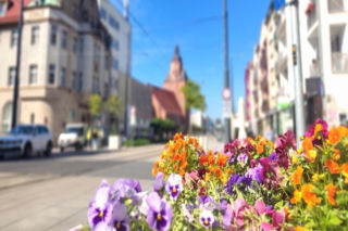 Większość młodych nie chce zostać w Gorzowie po szkole. Dlaczego?