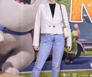 Gwiazdy na premierze Miss Moxy. kocia ekipa