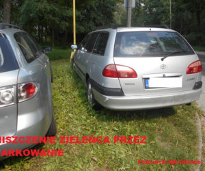 Janusze parkowania nie odpuszczają! Zobaczcie jak robią to najlepsi z nich