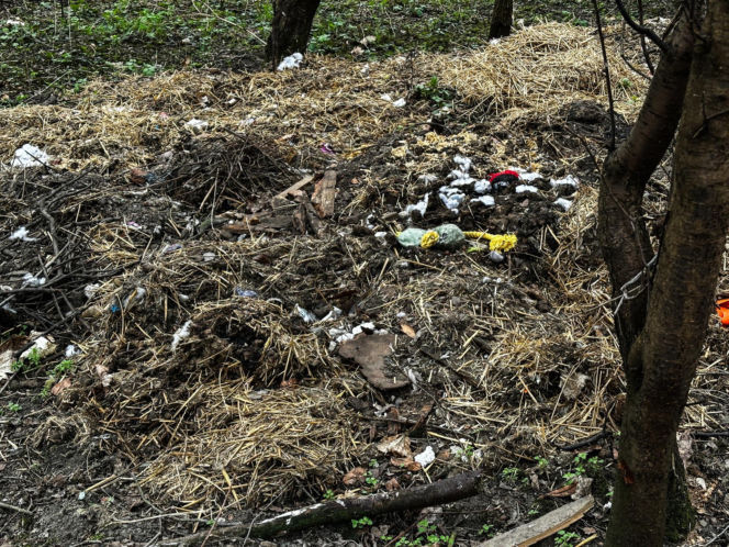 Zabrali dzieciom psa jak rzecz