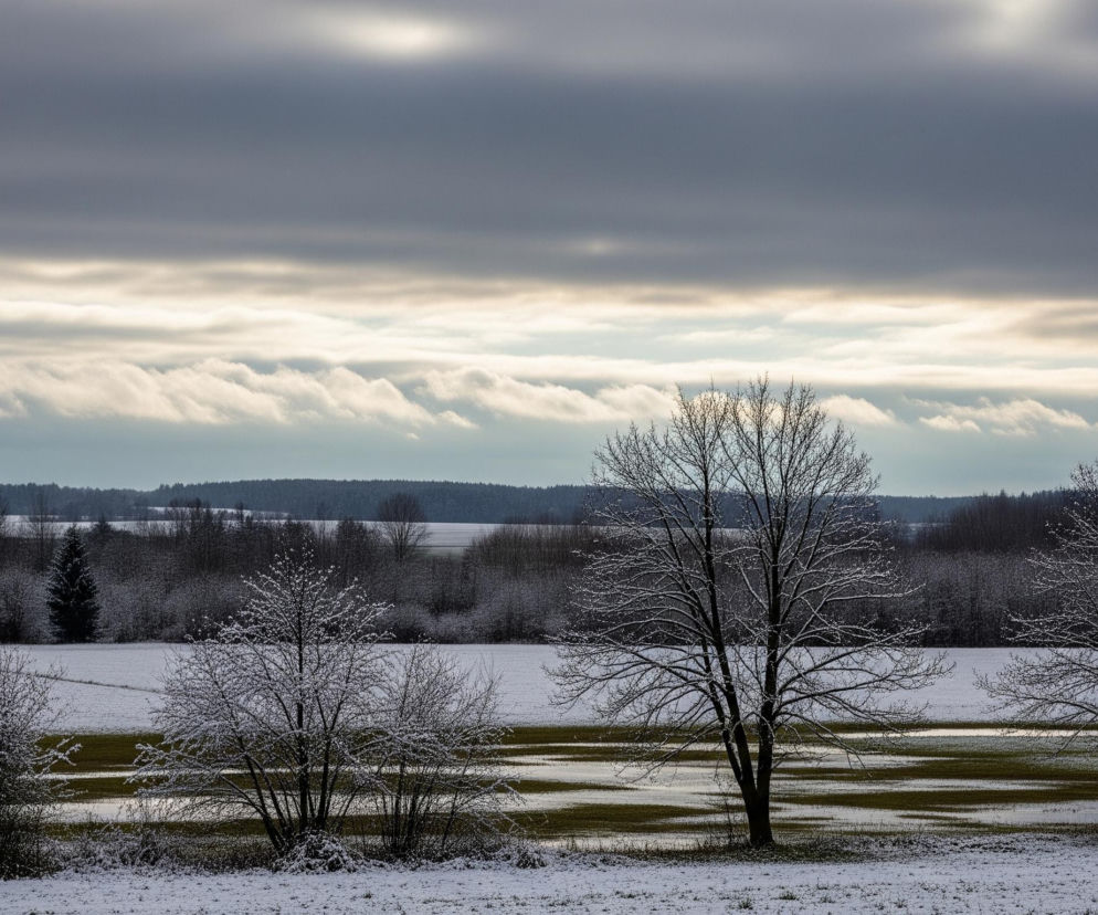 Pofalowane ciemnoszare chmury z jaśniejszymi, poziomymi pasmami w środku, dominują górną część kadru. Poniżej rozciąga się zaśnieżony krajobraz z polami pokrytymi białą warstwą śniegu, przeplataną widocznymi, zielono-brązowymi plamami traw. Na pierwszym planie i w środkowej części pola rozmieszczone są bezlistne drzewa i krzewy, których gałęzie pokryte są delikatną warstwą szronu lub śniegu, co tworzy jasne, błyszczące refleksy. W tle widać ciemny pas lasu, a za nim kolejny, bardziej odległy, rozmyty horyzont.